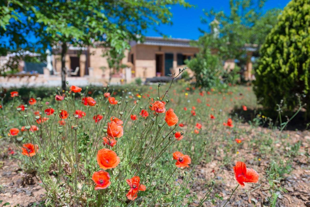 Villa Ses Llegitimes à Marratxí Extérieur photo